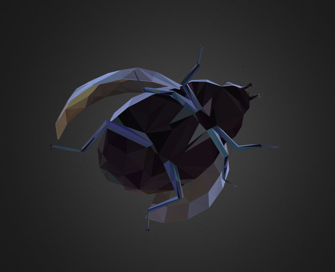 Bug Ladybug Black Low Polygon Art Insect Low-poly 3D model_3