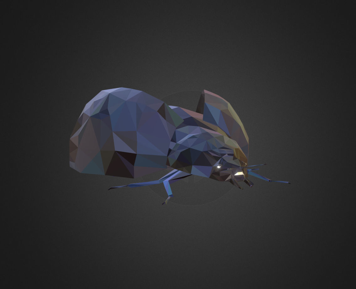 Bug Ladybug Black Low Polygon Art Insect Low-poly 3D model_1