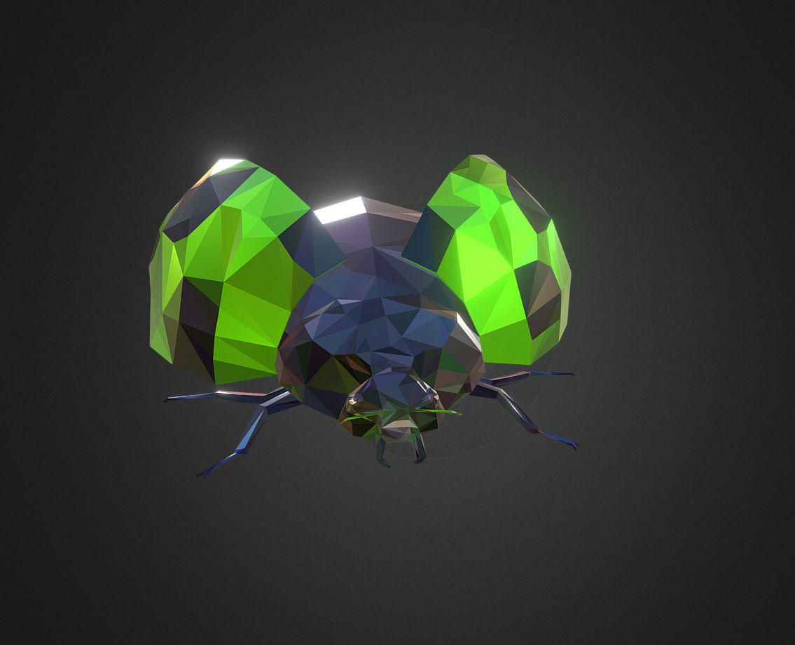 Green Bug Ladybug Low Polygon Art Insect Low-poly 3D model_3