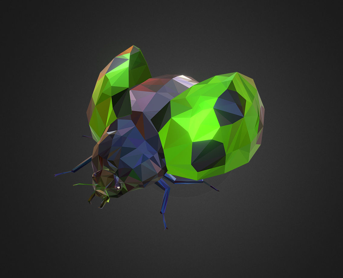 Green Bug Ladybug Low Polygon Art Insect Low-poly 3D model_2