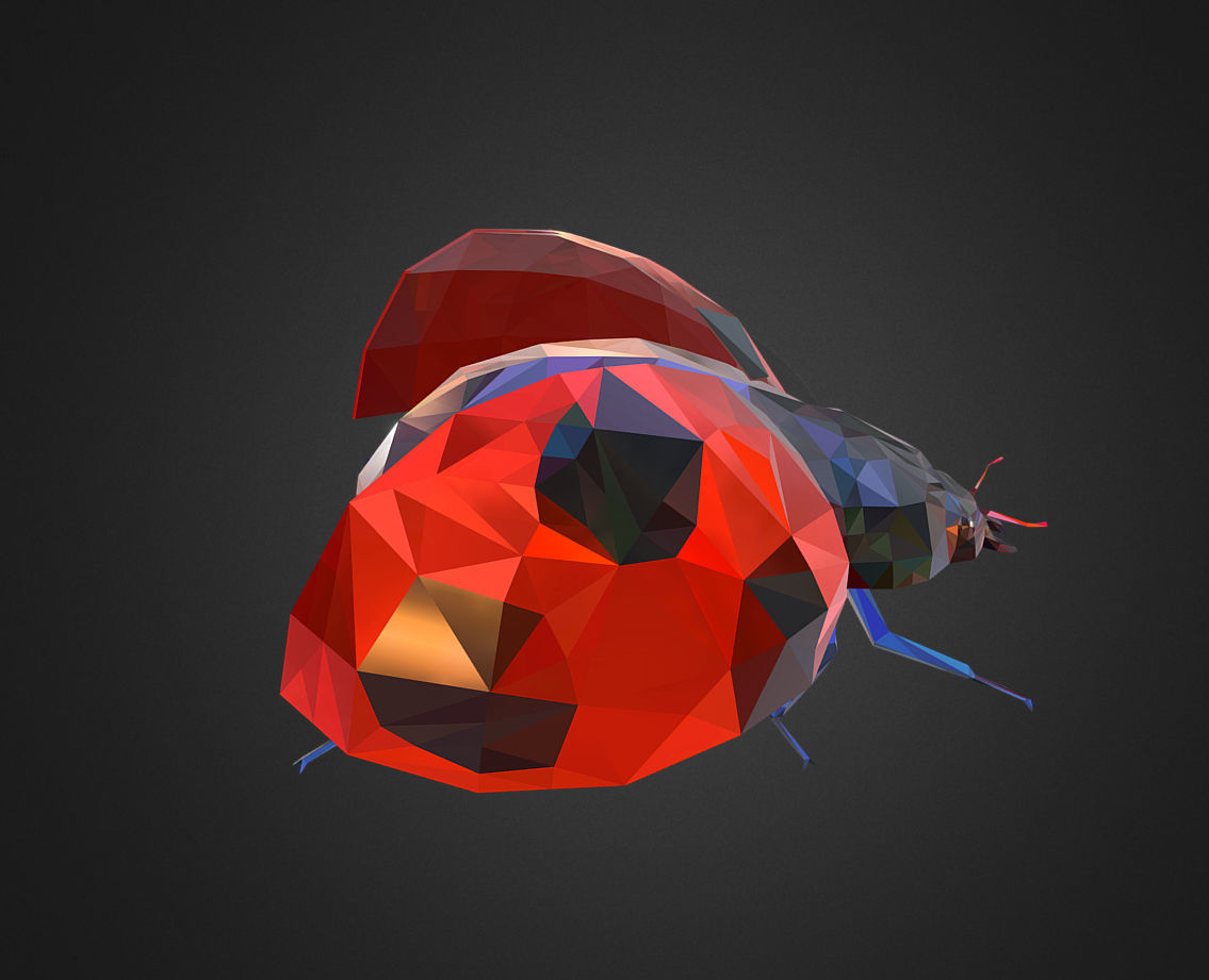 Bug Ladybug Red Low Polygon Art Insect Low-poly 3D model_2