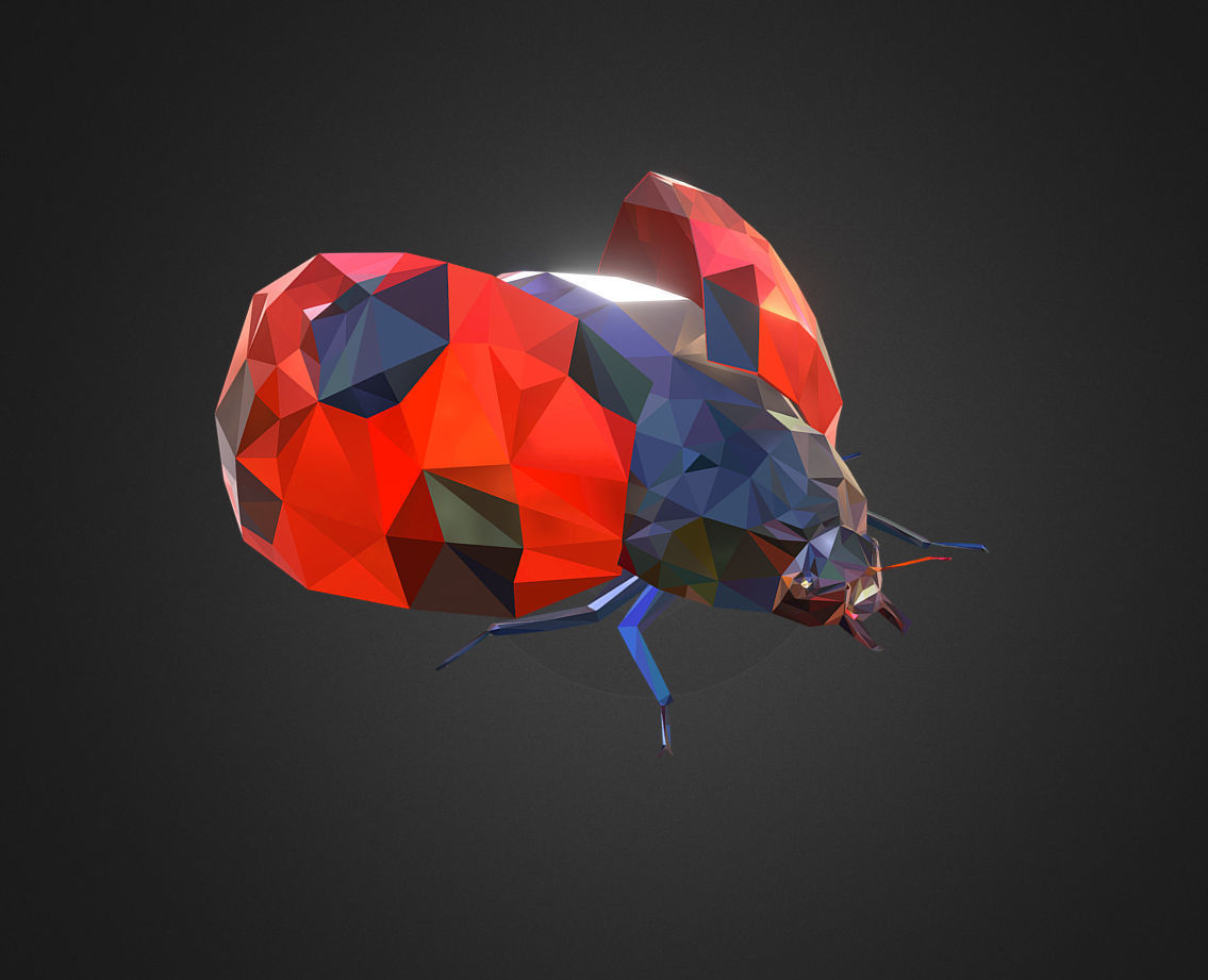 Bug Ladybug Red Low Polygon Art Insect Low-poly 3D model_1