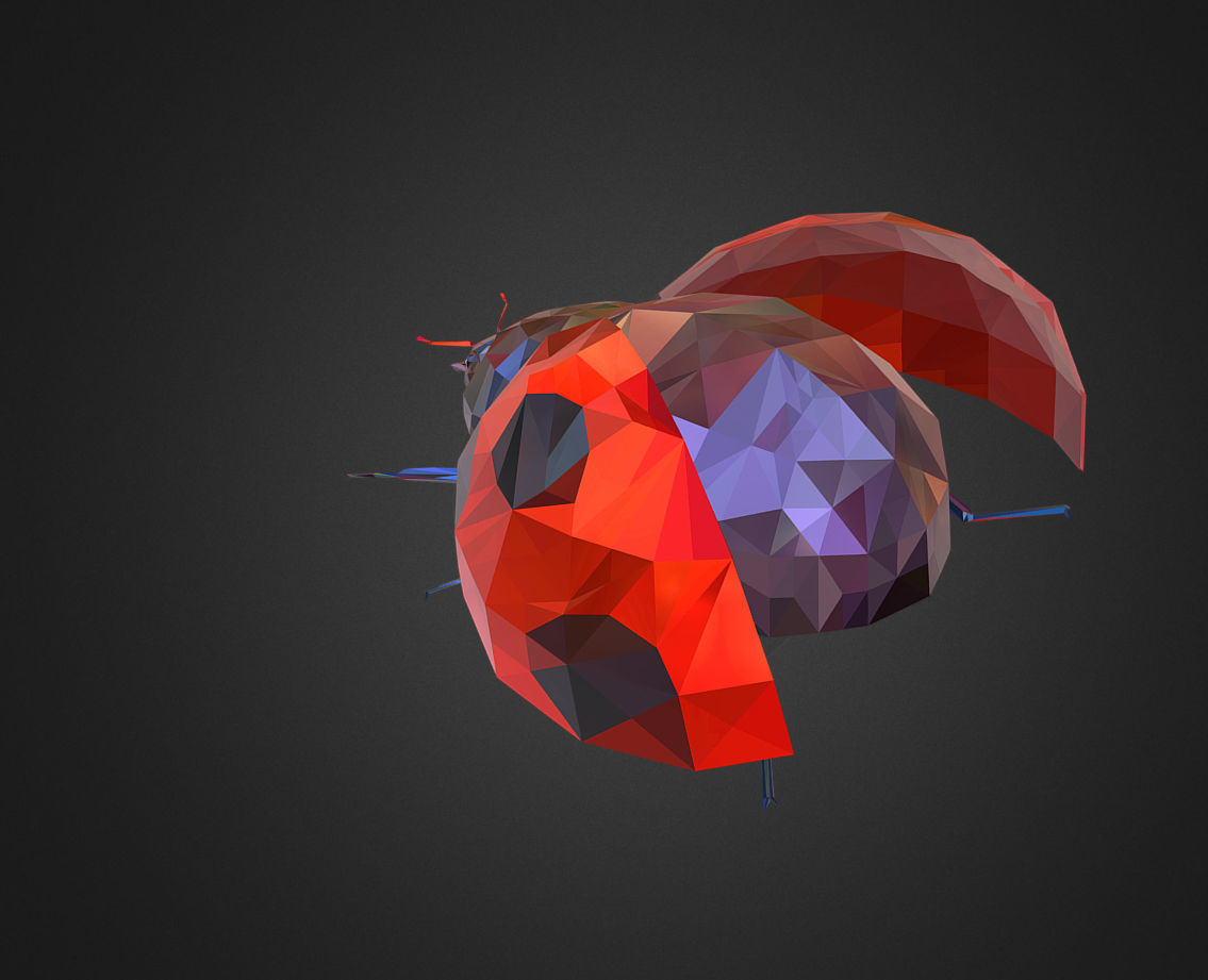 Bug Ladybug Red Low Polygon Art Insect Low-poly 3D model_4