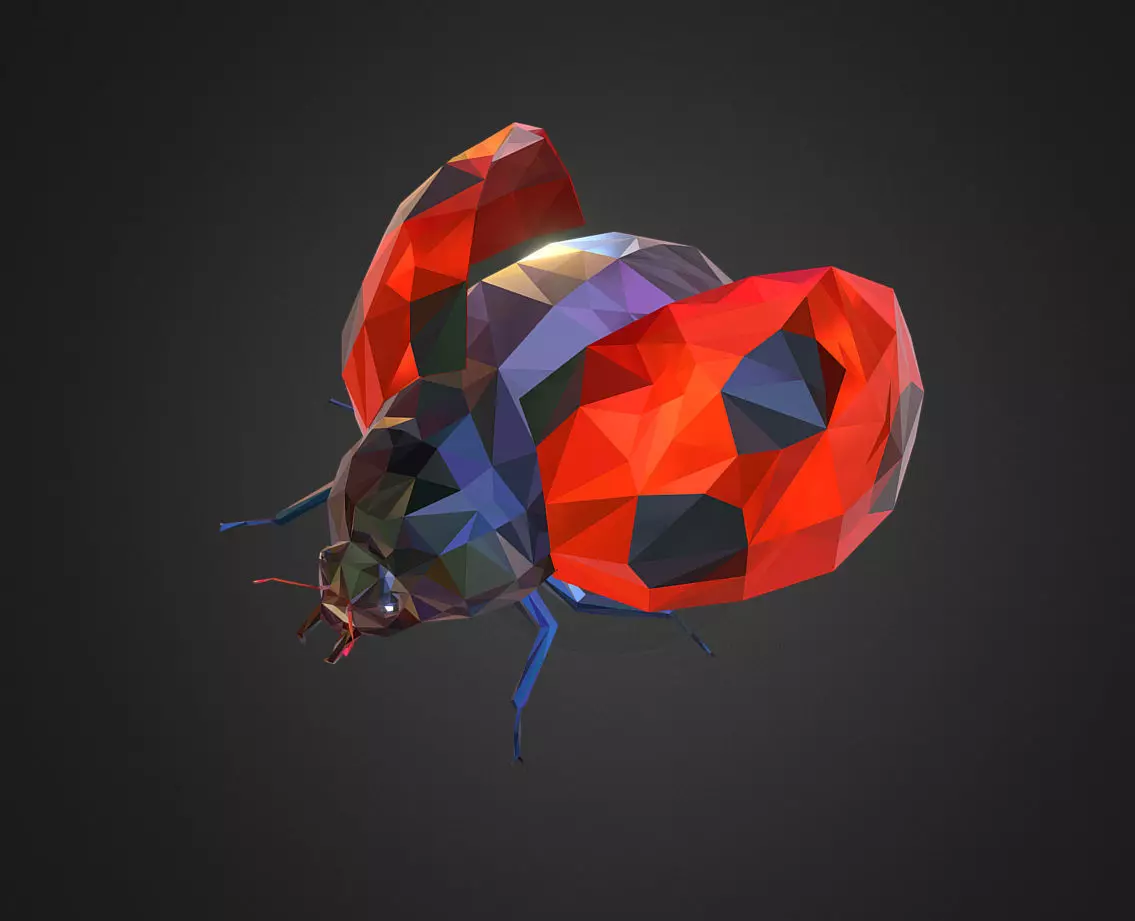 Bug Ladybug Red Low Polygon Art Insect Low-poly 3D model_0