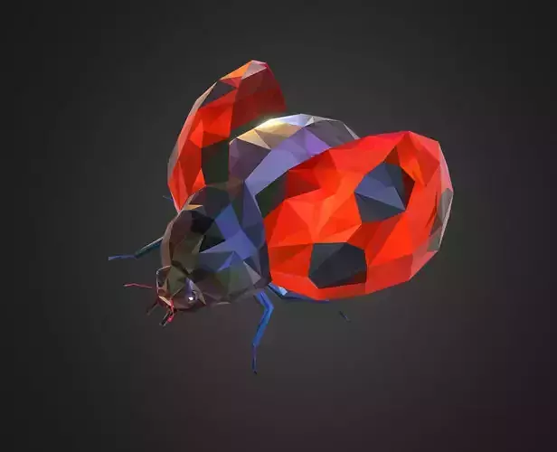 Bug Ladybug Red Low Polygon Art Insect