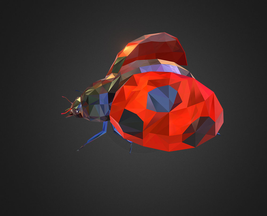 Bug Ladybug Red Low Polygon Art Insect Low-poly 3D model_3