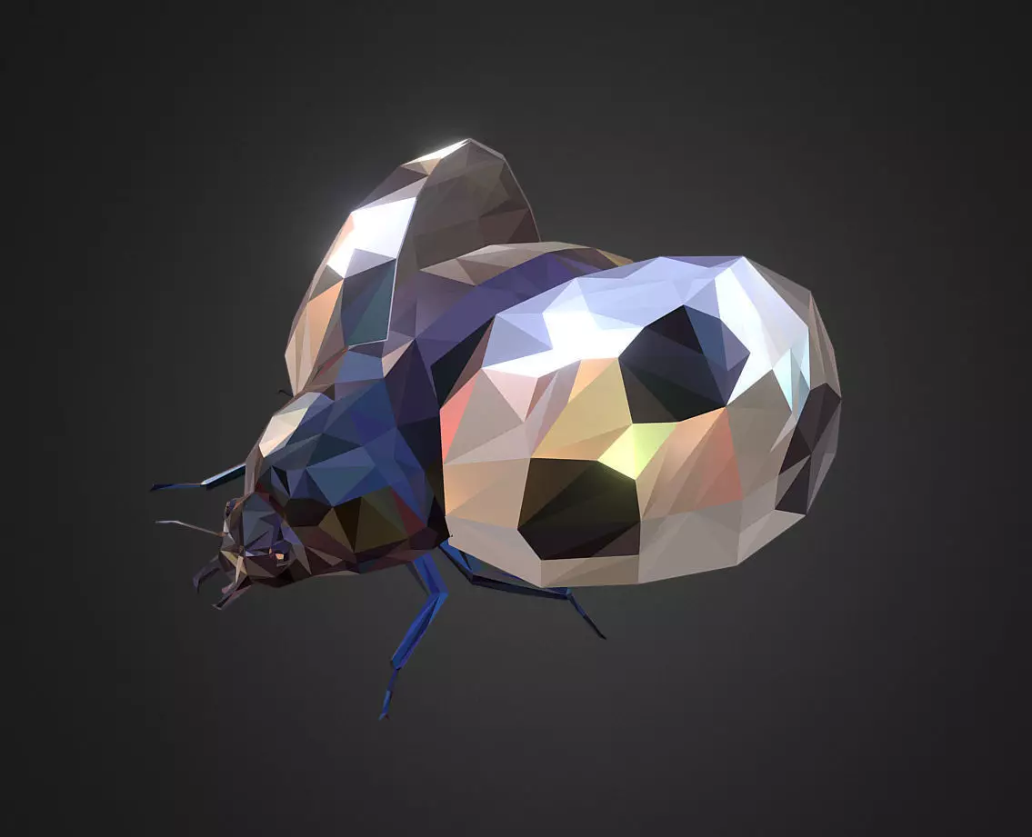 Bug Ladybug White Low Polygon Art Insect Low-poly 3D model