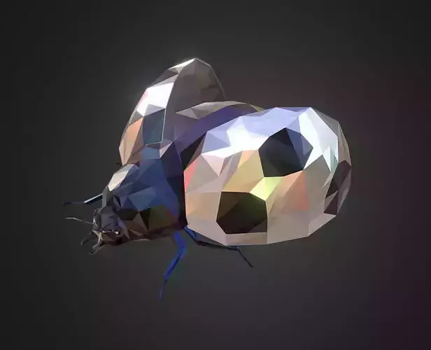Bug Ladybug White Low Polygon Art Insect Low-poly 3D model