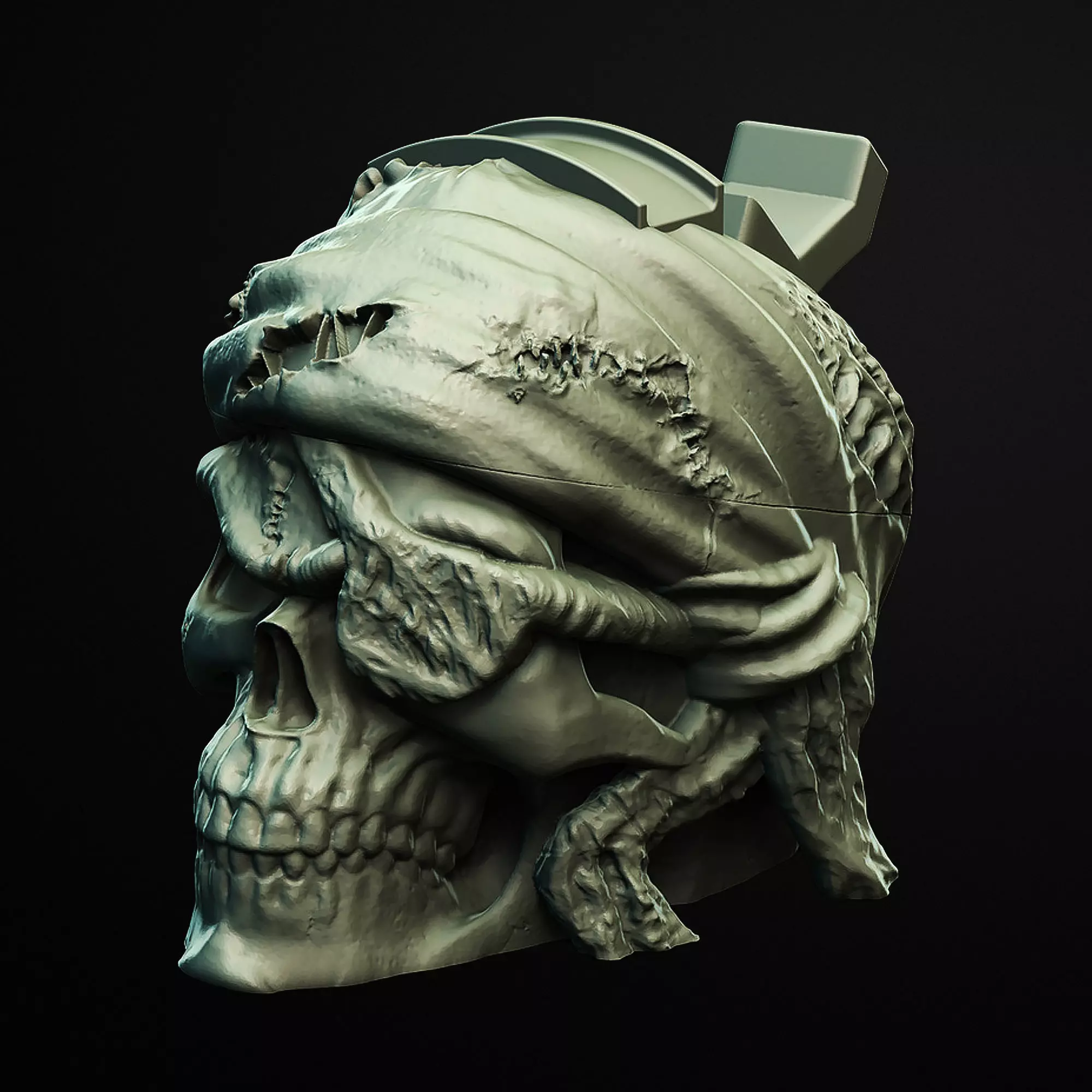 Pirate Skull Desk Skull Headphone and Controller Holder 3D print model