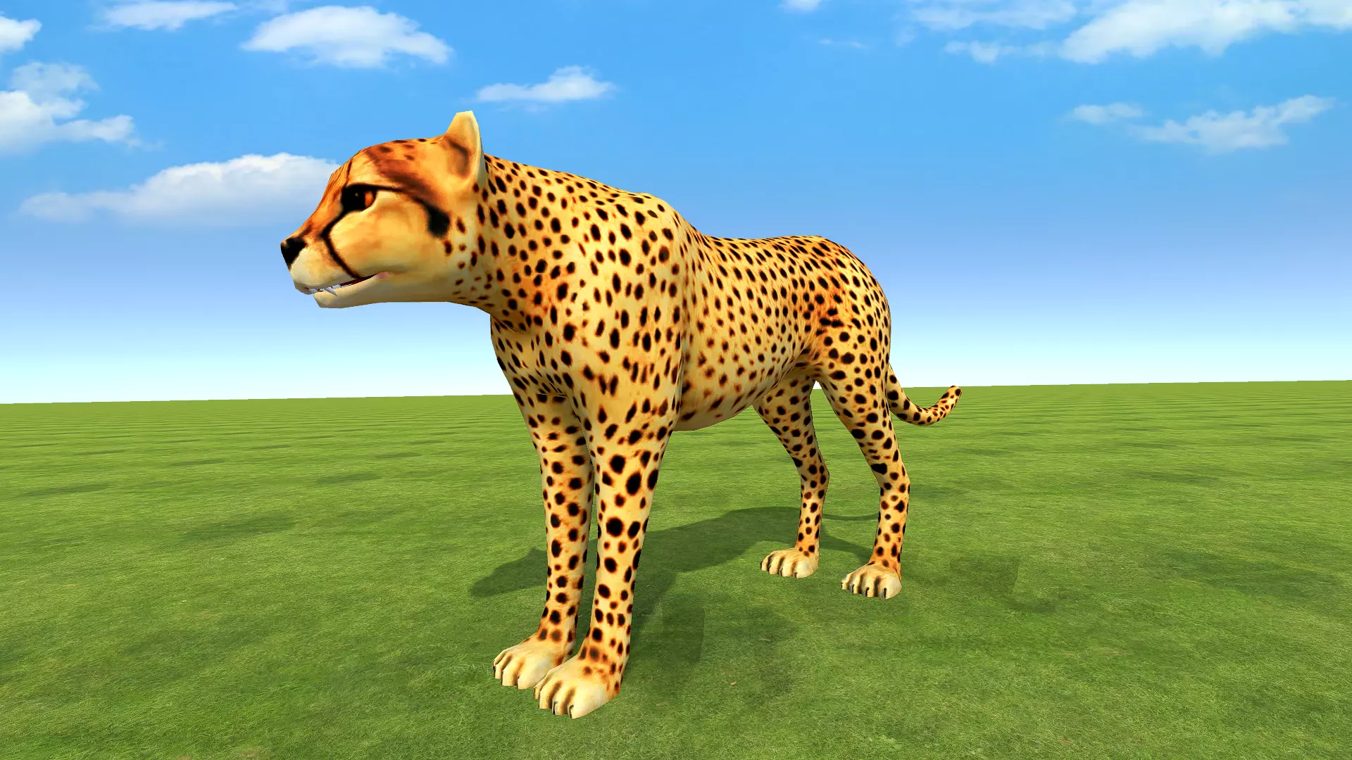 Cheetah rigged Low-poly 3D model