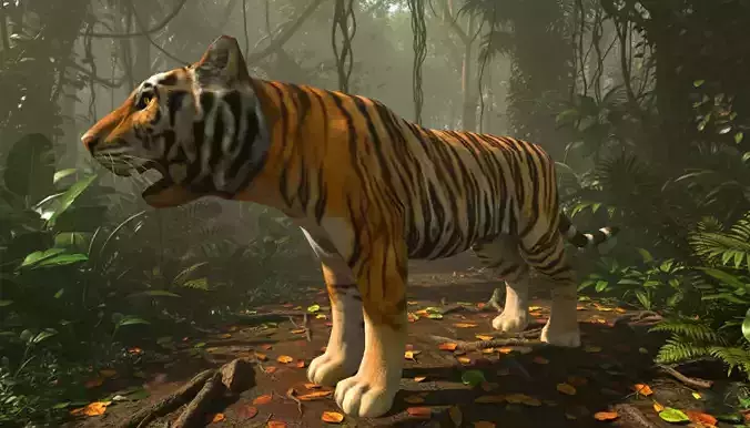 Tiger  rigged animated 