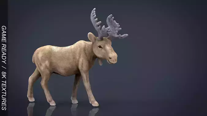 CHRISTMAS ELK