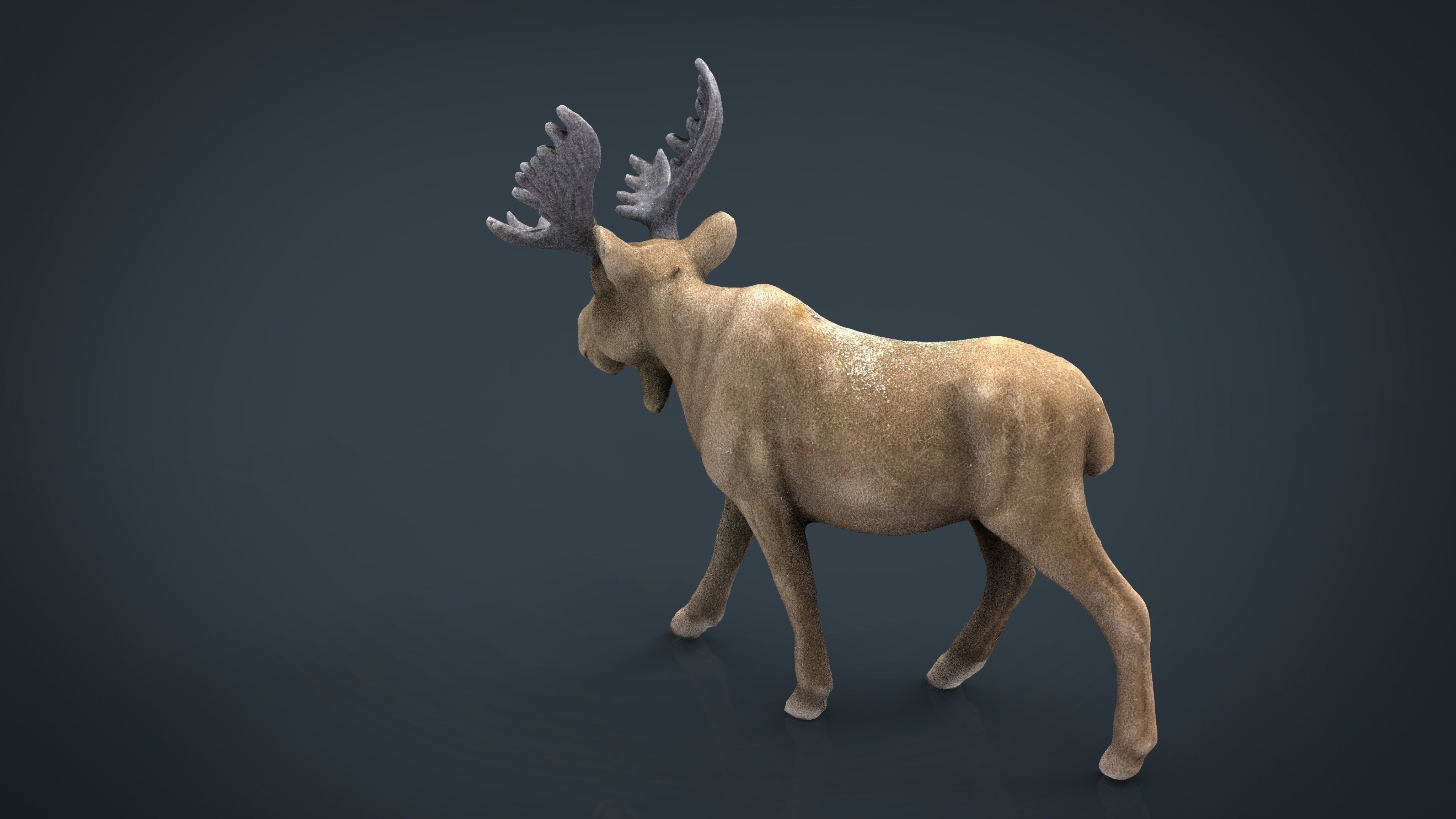 CHRISTMAS ELK Low-poly 3D model_11