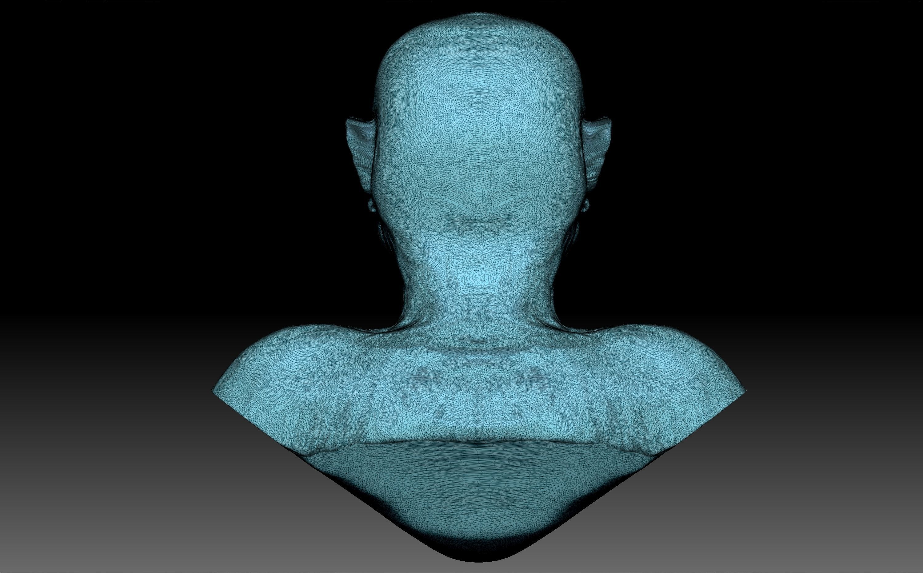 Julius Caesar 3D model_11