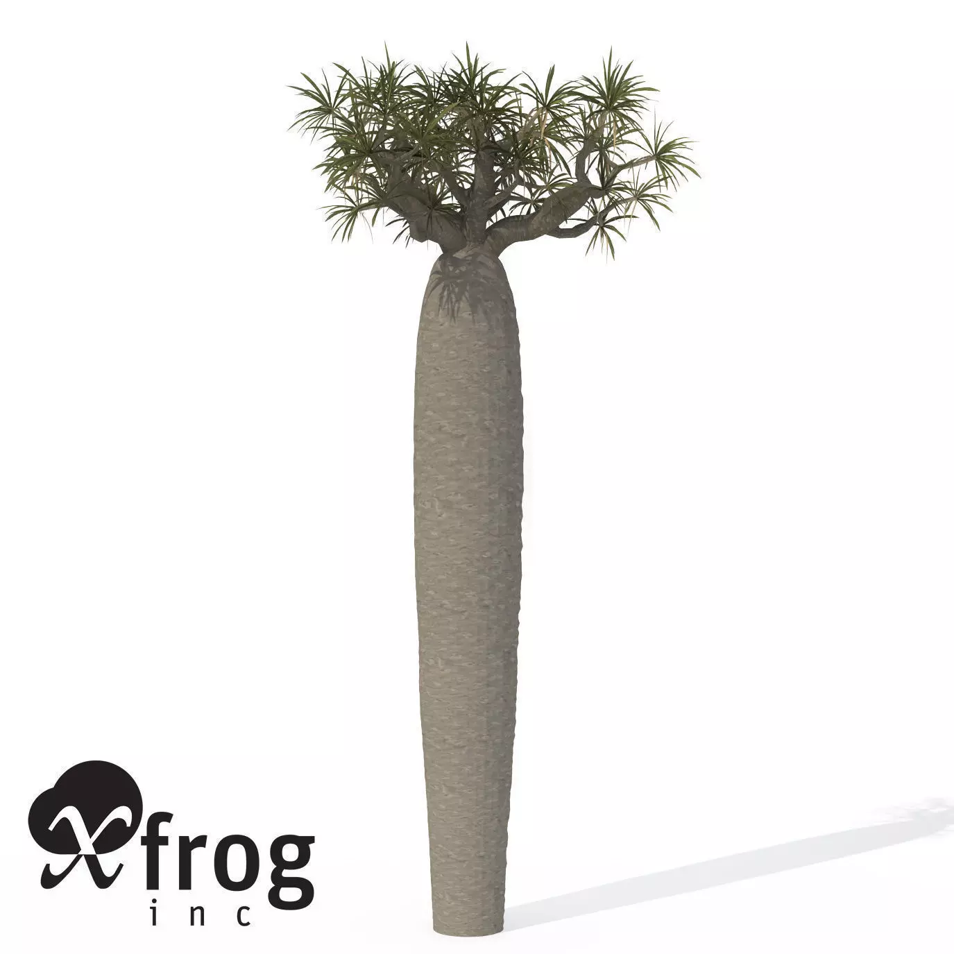 XfrogPlants Large Bottle Tree 3D model
