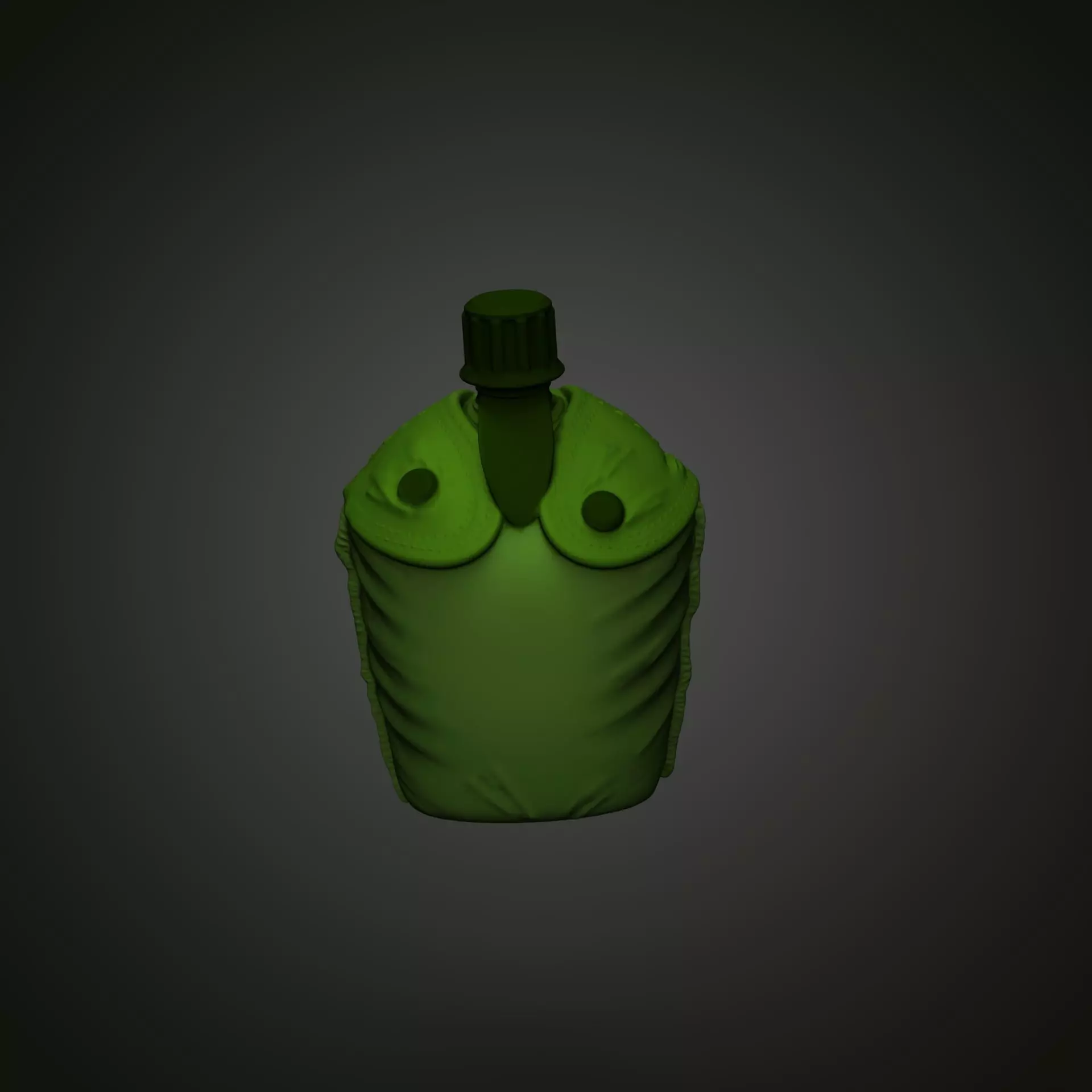 Military Canteen EEUU with Tactical Pouch 3D print model