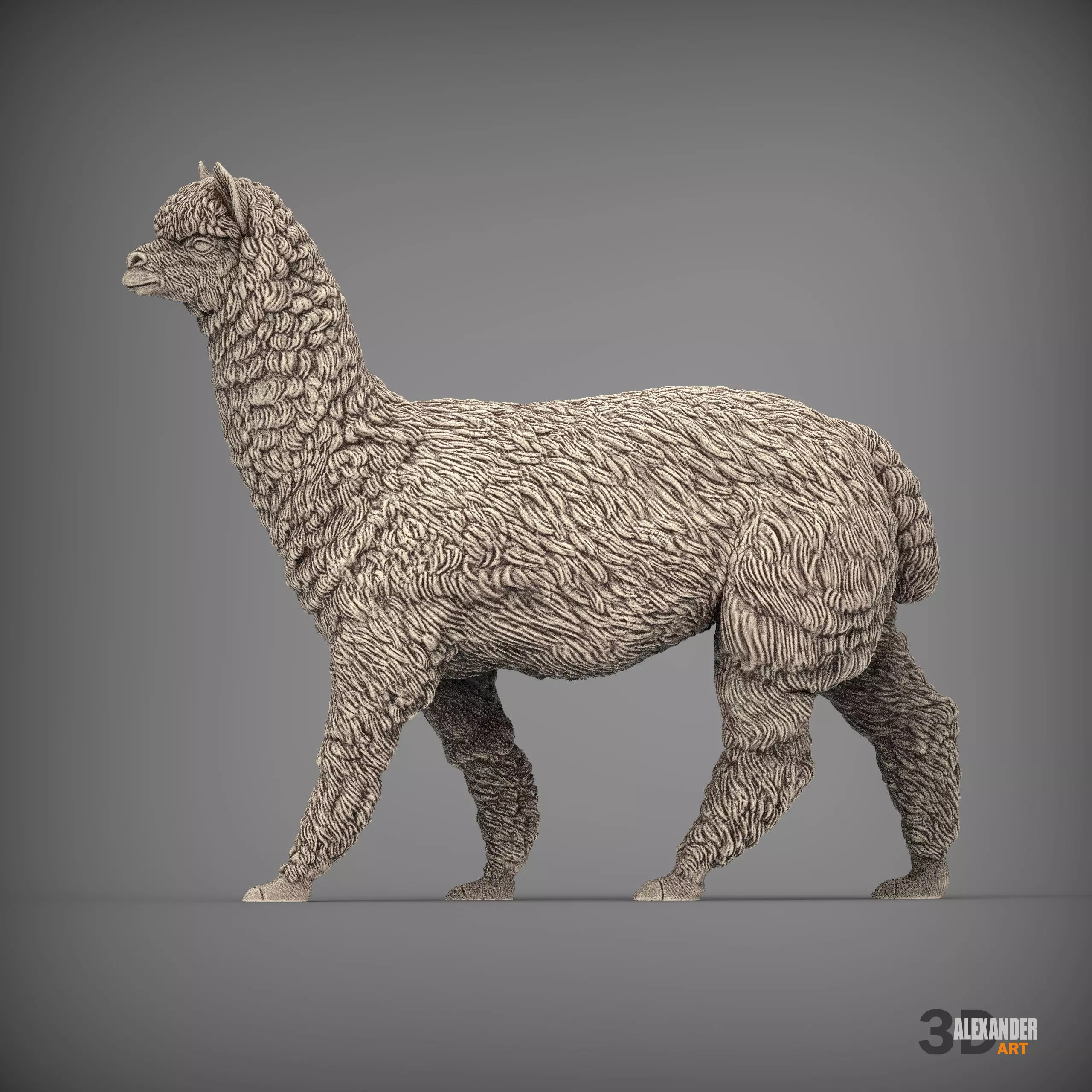Alpaca is coming 3D print model