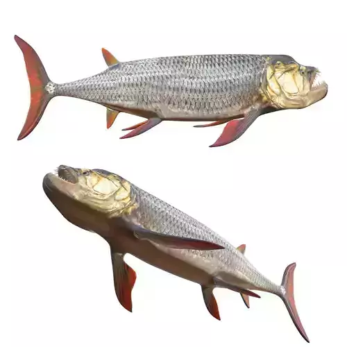 Xiphactinus