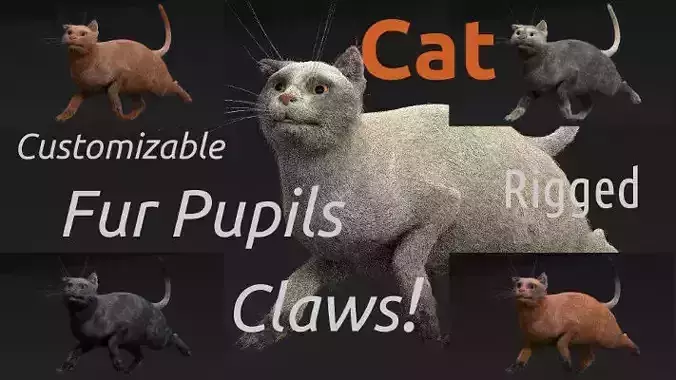Customizable Rigged Cat 3D model