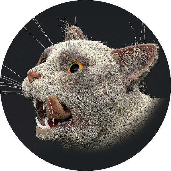 Customizable Rigged Cat 3D model_4