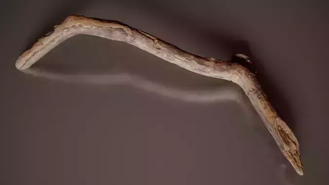 Weathered Branch With Knot Weathered Wood Branch 6