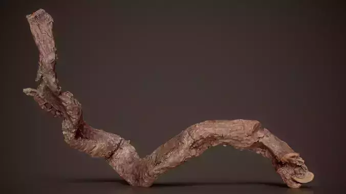 Twisted Vine Or Root Weathered Wood Vine Branch 3