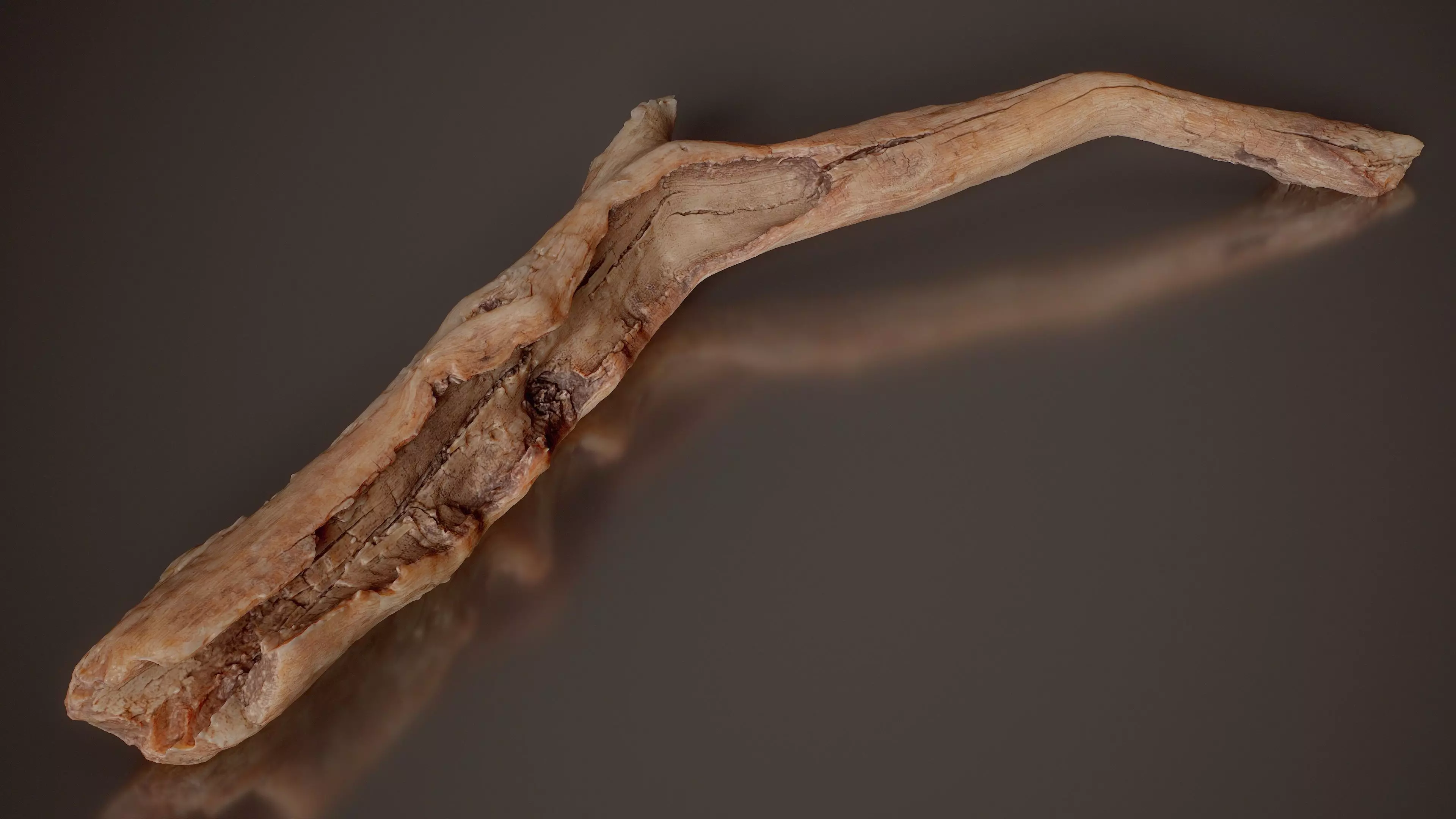 Curved Driftwood Branch Weathered Wood Branch 4 Low-poly 3D model