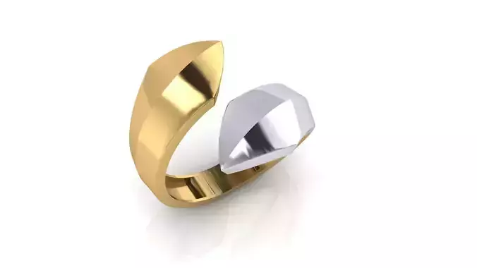 Two-Tone Geometric bypass Rin