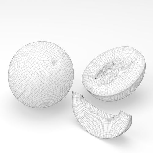 Galia melon 3D model 2