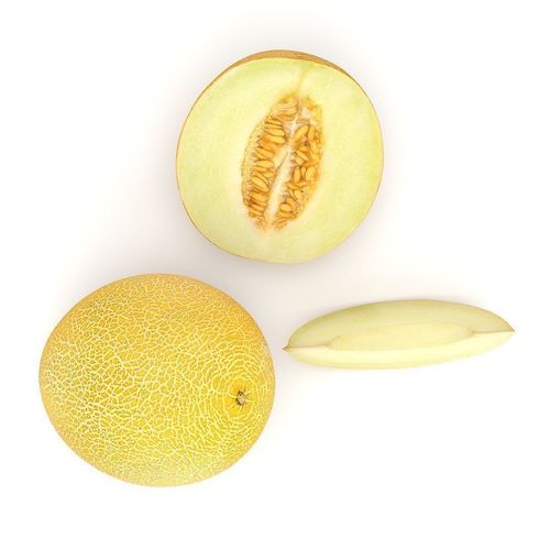 Galia melon 3D model 3
