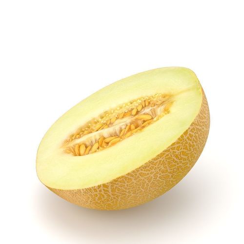 Galia melon 3D model 7