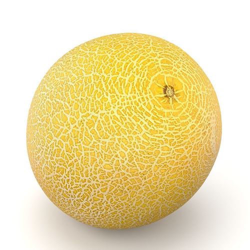 Galia melon 3D model 5
