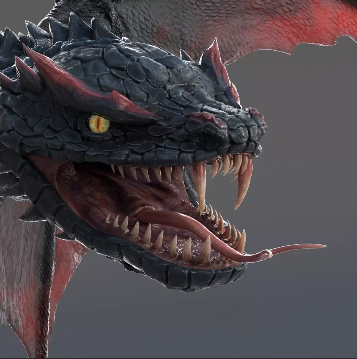 FlyDragon 3D model