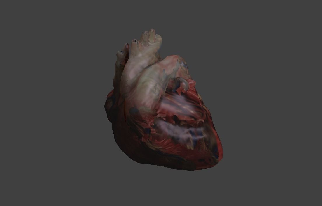 Low Poly Human Heart Low-poly 3D model