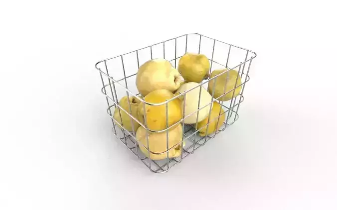 Quince Set 06 Low-poly 3D model 4