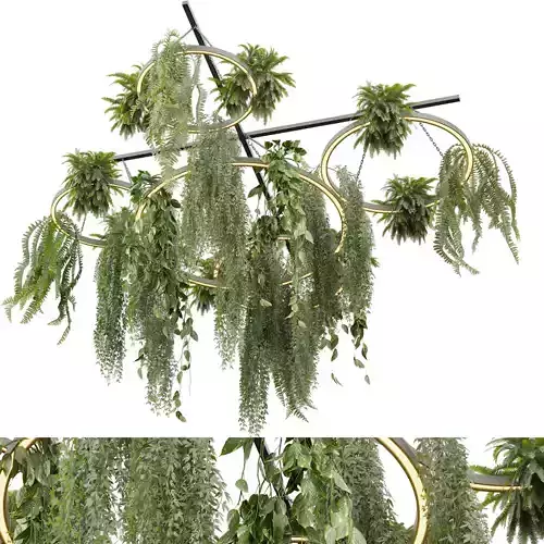 plant vol 783 - Hanging - Ampelous - Fern - Pothos - Ivy 3D model