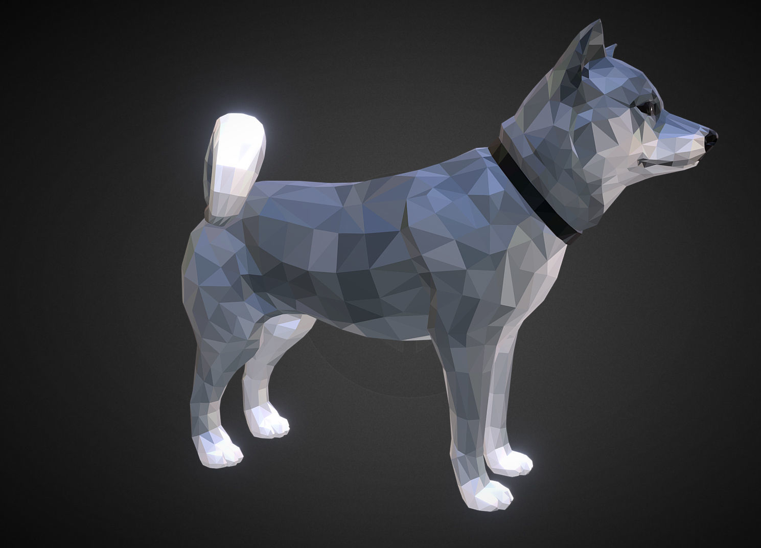 Dog Grey Low Polygon Art Low-poly 3D model_3