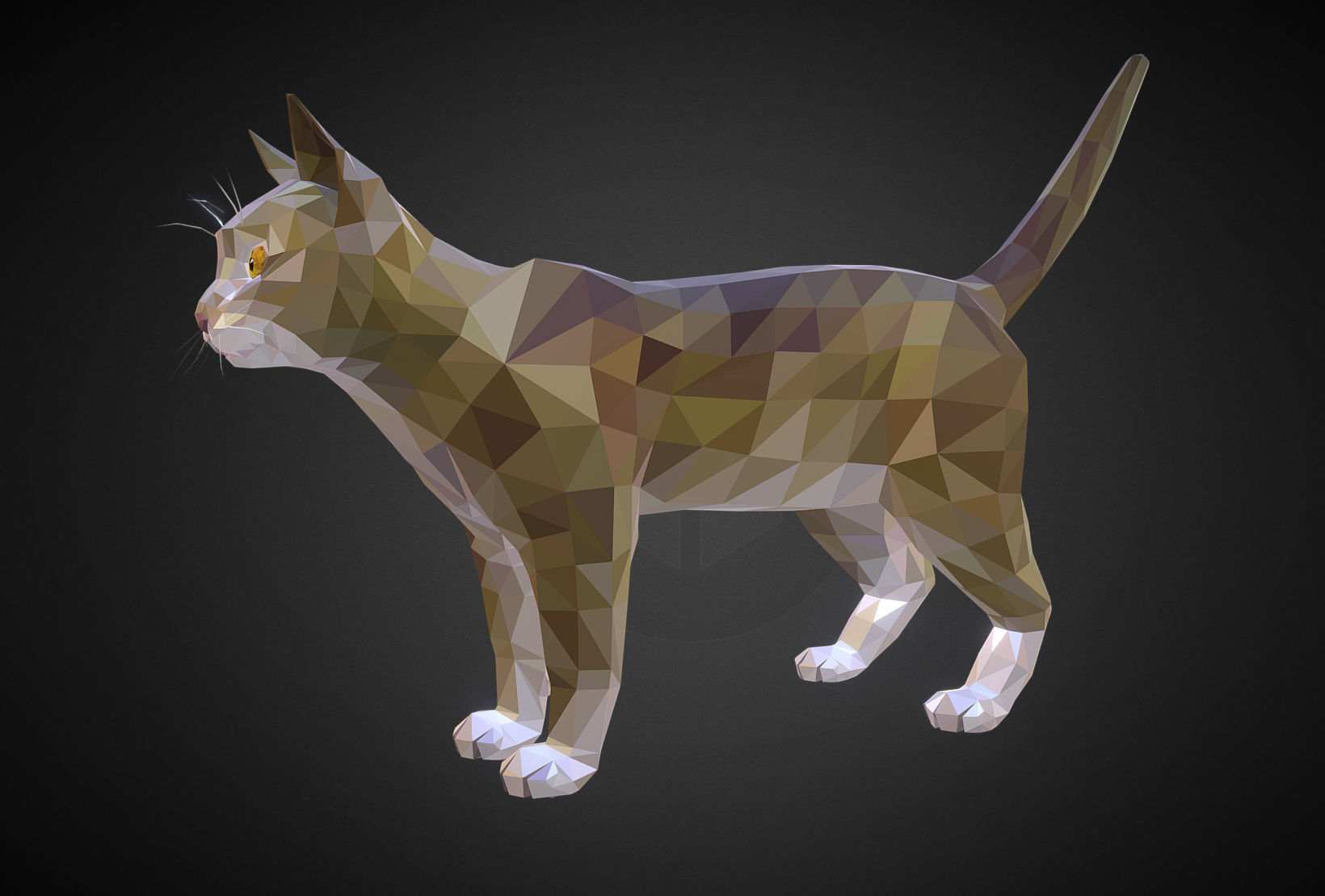 Cat Low Polygon Art Farm Animal Low-poly 3D model_4