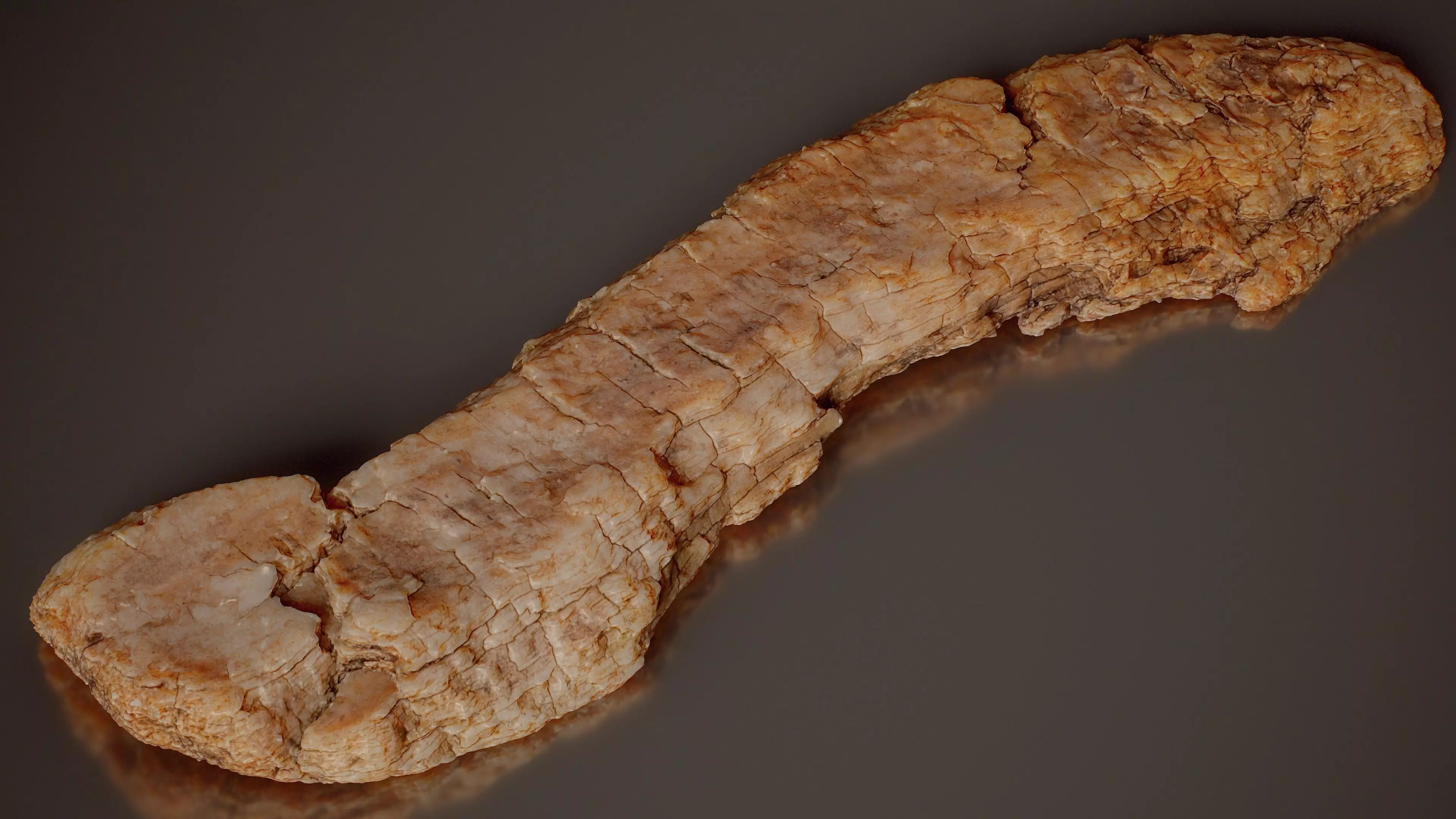 Birch Bark Curved Betula Big Wood 11 Low-poly 3D model