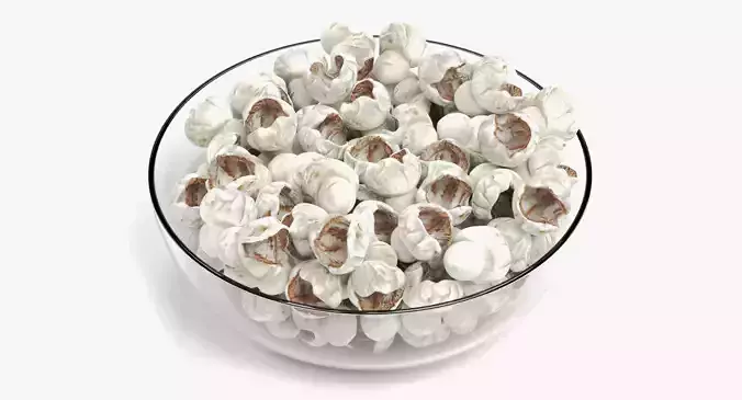 Popcorn in Glass Bowl 3D model