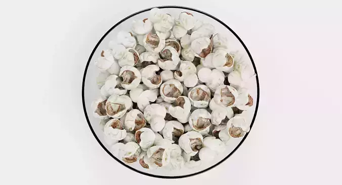Popcorn in Glass Bowl 3D model 6