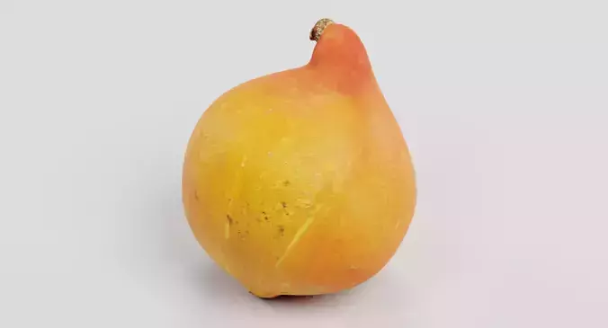 Pumpkin - Realistic Classic Orange Squash 3D model 4