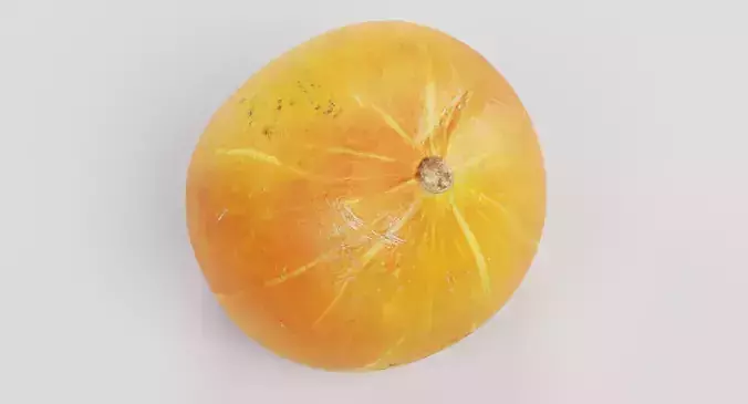 Pumpkin - Realistic Classic Orange Squash 3D model 6