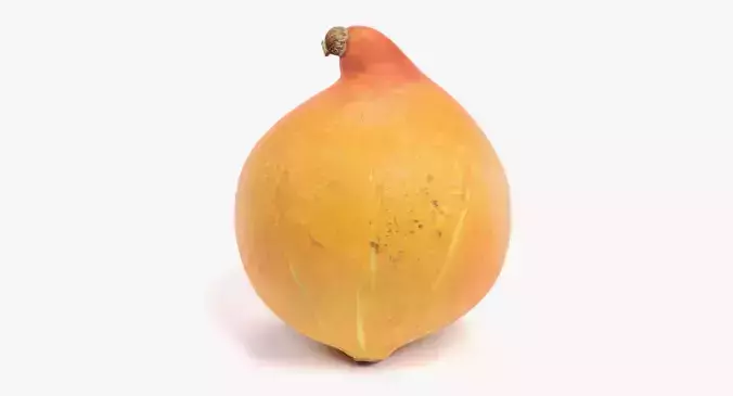 Pumpkin - Realistic Classic Orange Squash 3D model 7