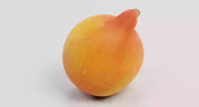 Pumpkin - Realistic Classic Orange Squash 3D model 3