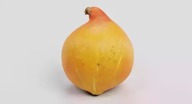Pumpkin - Realistic Classic Orange Squash 3D model