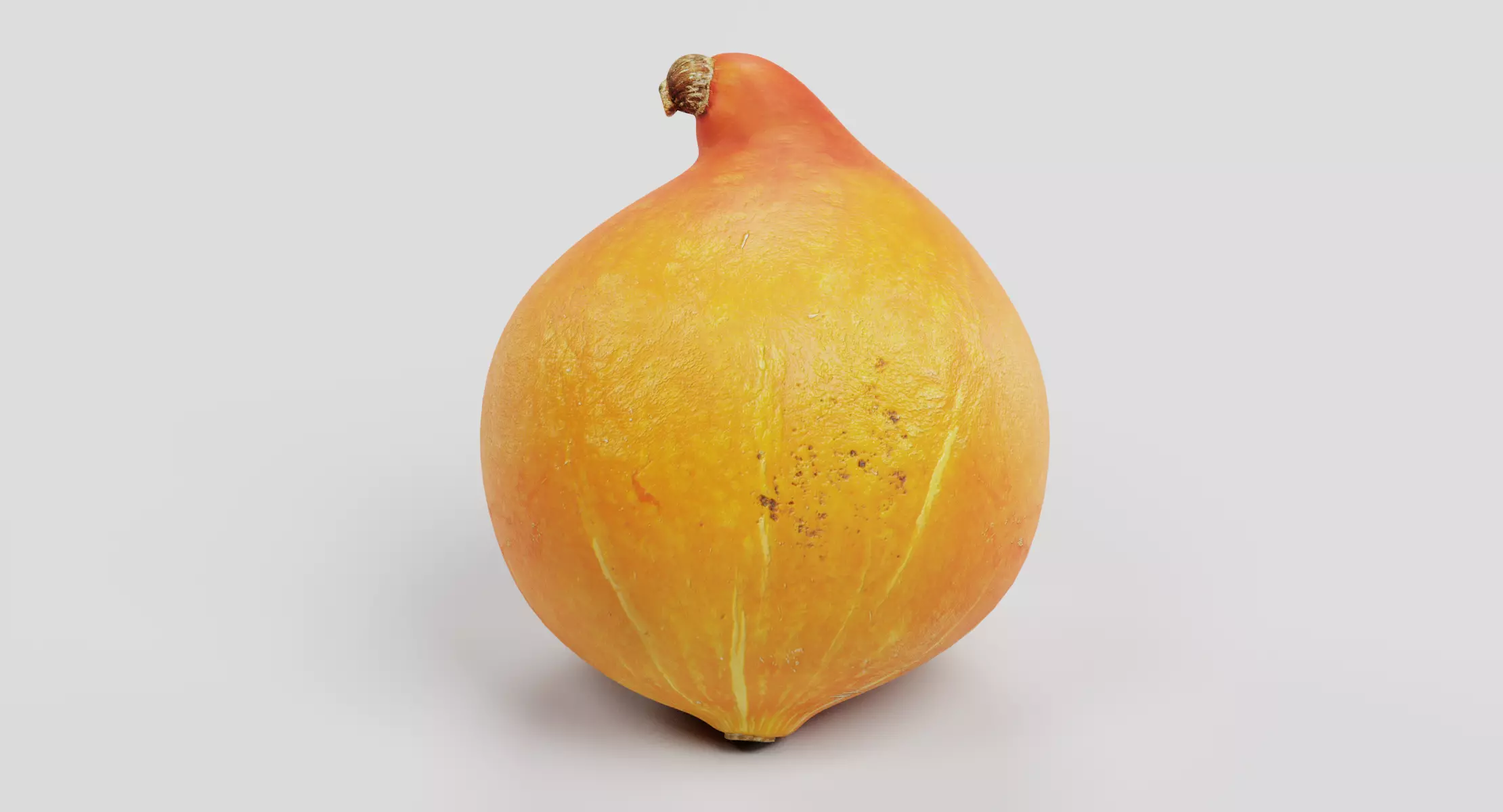 Pumpkin - Realistic Classic Orange Squash 3D model
