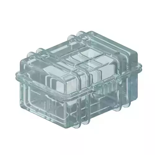 Transparent Luggage Case Toy