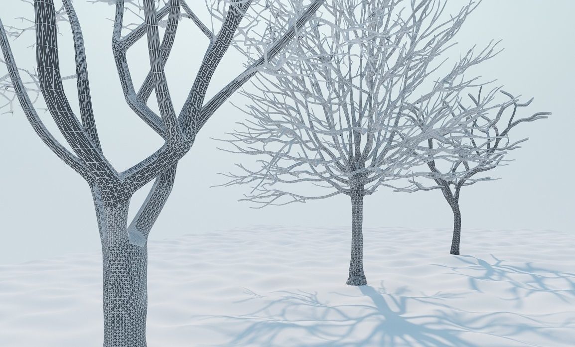 Snow tree 3D model_3