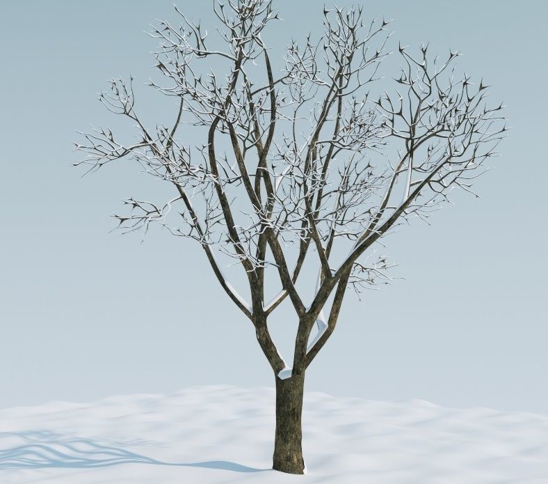 Snow tree 3D model_2